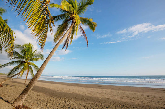 ¡Prepárate para el verano! Descubre tu destino perfecto para las vacaciones!